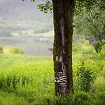 Arctic Photo Retreat Lofoten - Lakehouse Bjorkly * Vestvagoy