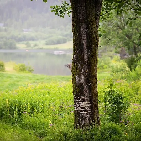 Lakehouse Bjorkly - Arctic Photo Retreat Lofoten * Vestvagoy