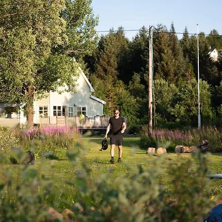 Arctic Photo Retreat Lofoten - Lakehouse Bjorkly Holiday home Vestvagoy