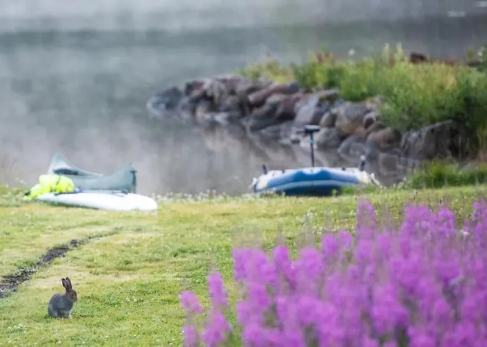 Arctic Photo Retreat Lofoten - Lakehouse Bjorkly Semesterbostad Vestvagoy