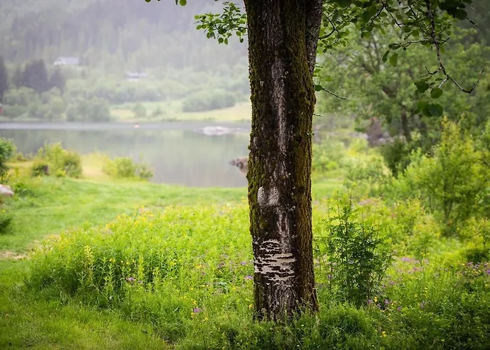 Arctic Photo Retreat Lofoten - Lakehouse Bjorkly * Vestvagoy