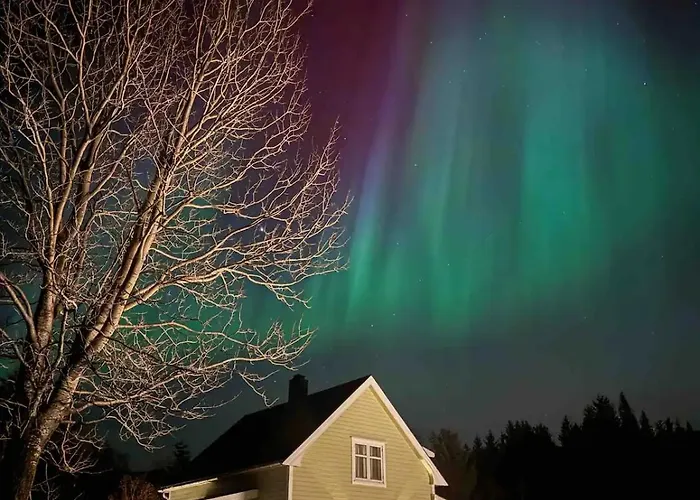 Arctic Photo Retreat Lofoten - Lakehouse Bjorkly * Vestvagoy