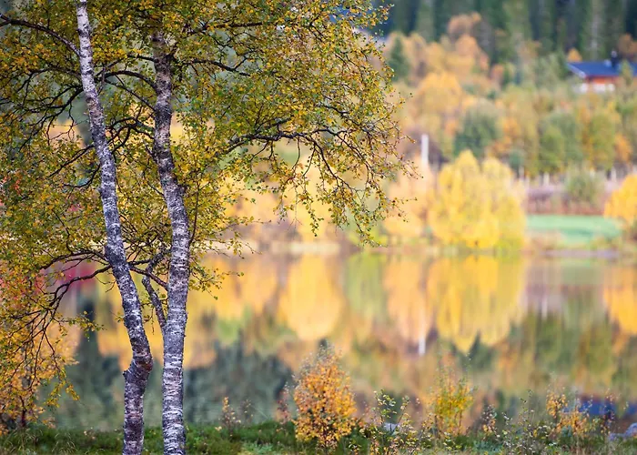 Arctic Photo Retreat Lofoten - Lakehouse Bjorkly