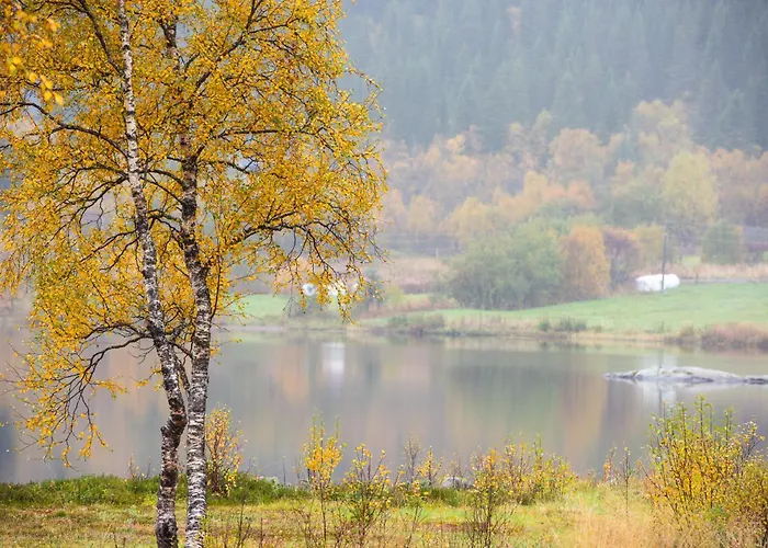 Arctic Photo Retreat Lofoten - Lakehouse Bjorkly * Vestvagoy
