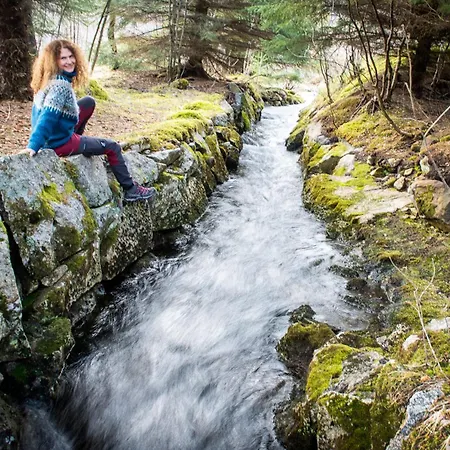 Tatil Evi Lakehouse Bjorkly - Arctic Photo Retreat Lofoten